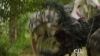 The_100__Hunted_Extended_Trailer__The_CW_5BFull_HD5D_1118.jpg