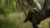 The_100__Hunted_Extended_Trailer__The_CW_5BFull_HD5D_1122.jpg