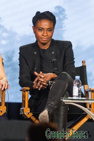 January 10th, 2016 Television Critics Panel Association Events
