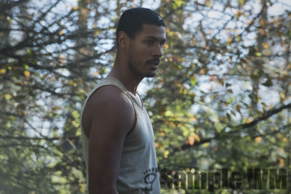 Promotional Stills HQ Episode The 100 07x04 Hesperides

