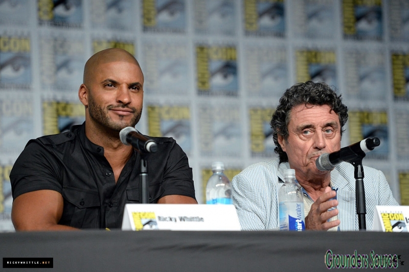 Ricky Whittle at American Gods Panel and Signing Starz 2016
