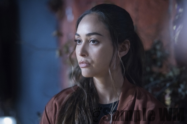 Season 7 07x03 False Gods Stills
