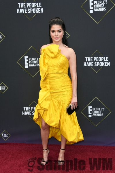Peopleâ€™s Choice Awards 2019 November 12th
