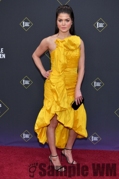Peopleâ€™s Choice Awards November 2019 12th-2
