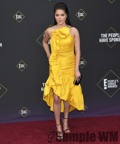Peopleâ€™s Choice Awards 2019 12th November
