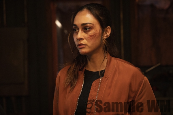 HQ Episode The 100 Season 7 07x04 Hesperides Promo Stills
