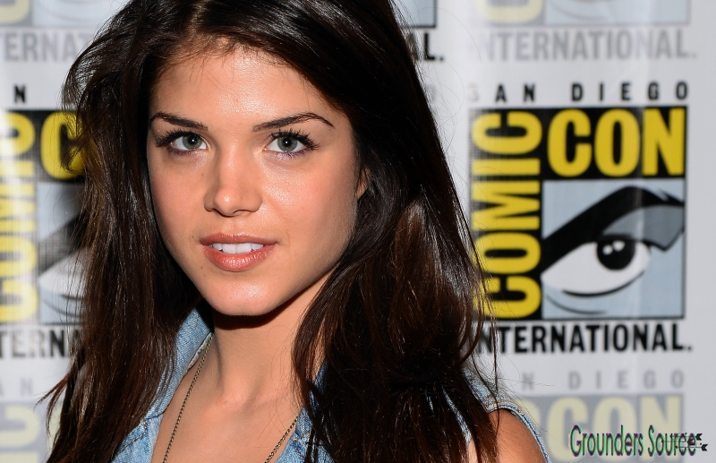 Events 2013 July 19th 2013 Comic Con Press Line
