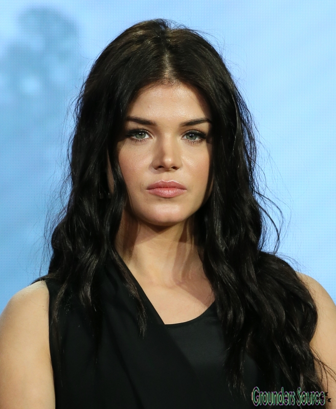 Events Television Association Panel Critics January 10th, 2016
