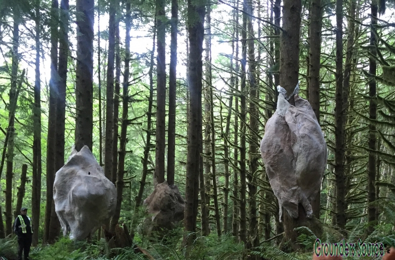 Scenes Behind Season Four The 100
