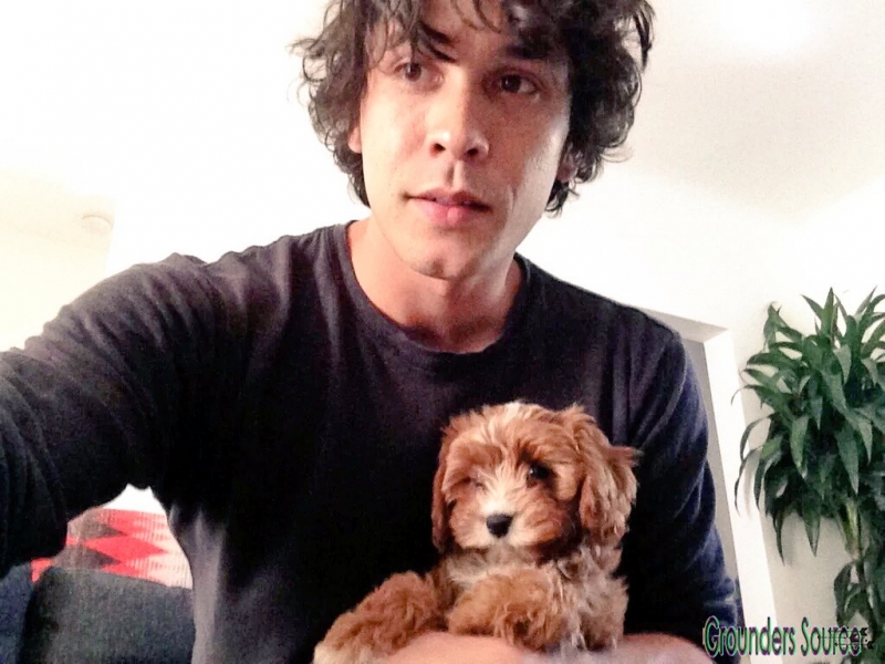 Twitter Bobby Morley Social Media
