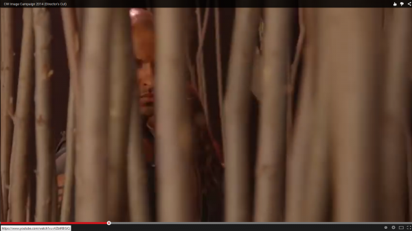 Image Campaign Directors Cut The 100 CW TV Spots 2014

