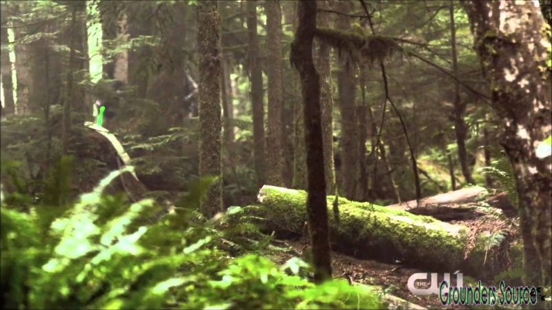 The 100 Scenery-11

