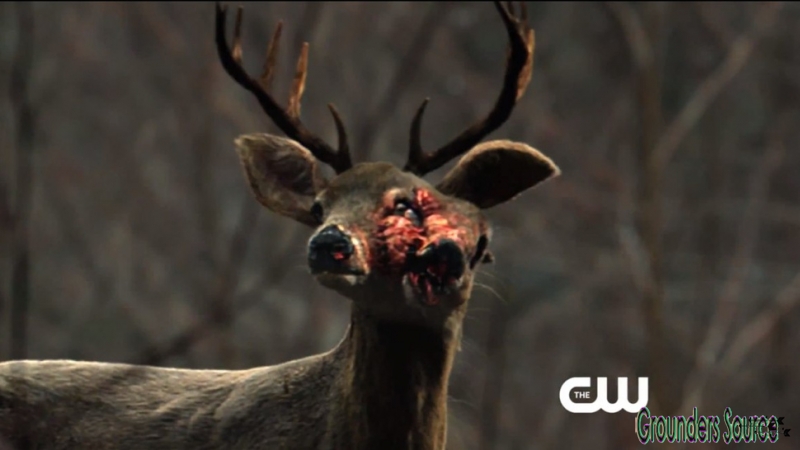 The 100 Scenery-10
