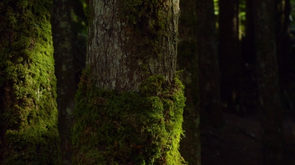 The Earth Kills Season One Episode Three-2180
