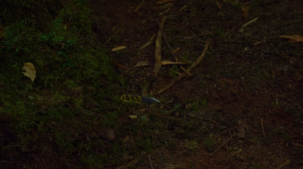 The Earth Kills Season One Episode Three-2179
