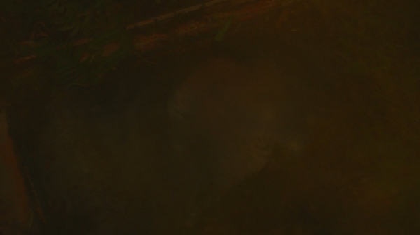 The Earth Kills Season One Episode Three-1441
