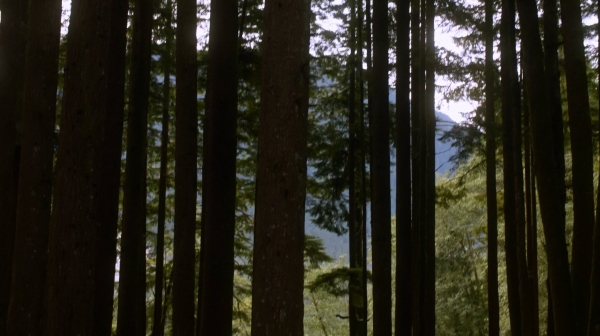 The Earth Kills Season One Episode Three-978
