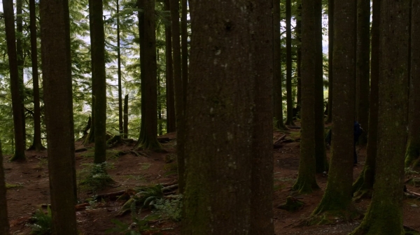 The Earth Kills Season One Episode Three-970
