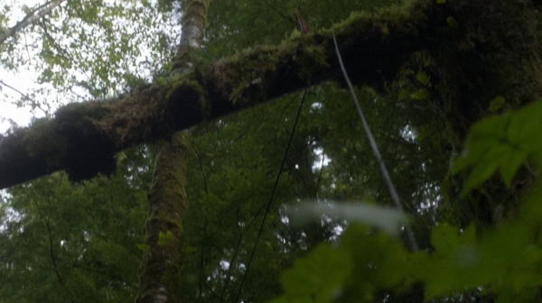 The 100 Captures Murphys Law Season One Episode Four-1015
