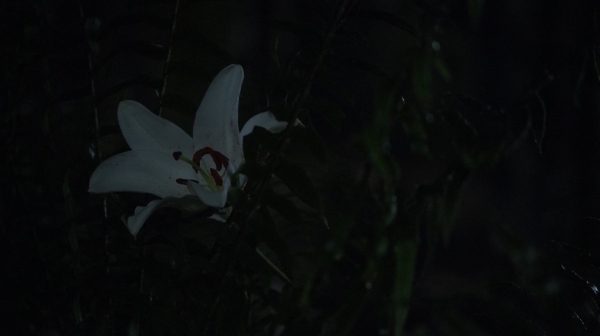 The 100 Season One Episode Nine Unity Day-1035
