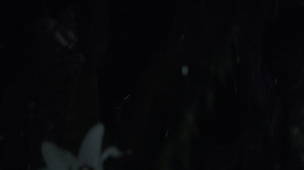 The 100 Season One Episode Nine Unity Day-1031

