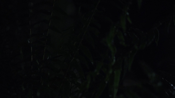 The 100 Season One Episode Nine Unity Day-1029
