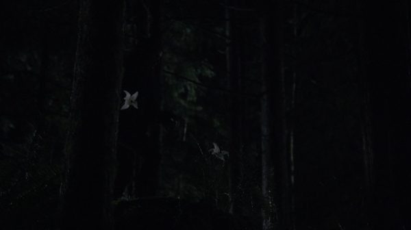 The 100 Season One Episode Nine Unity Day-1026
