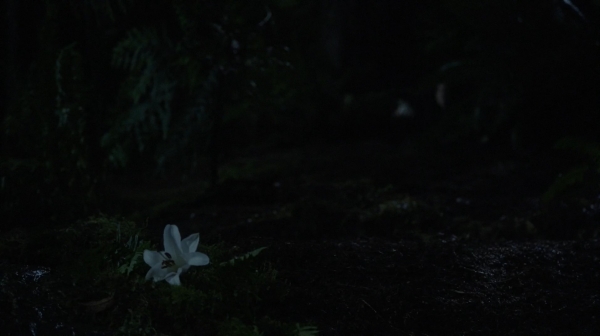 The 100 Season One Episode Nine Unity Day-1024
