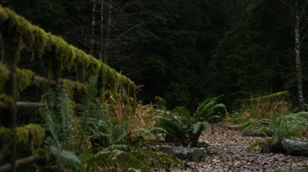 The 100 Season One Episode Nine Unity Day-427
