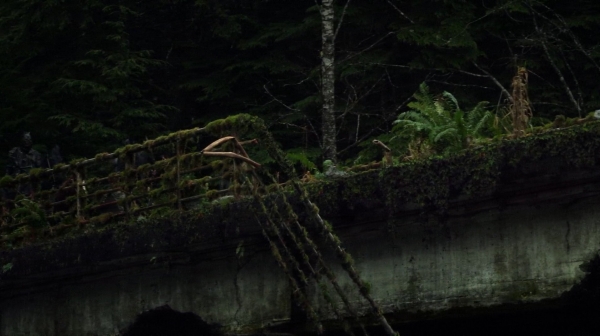 The 100 Season One Episode Nine Unity Day-361

