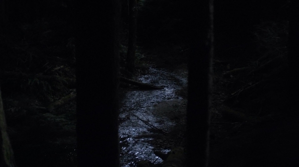 the100110_0974.jpg