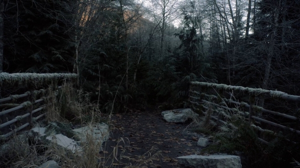 the100110_1052.jpg