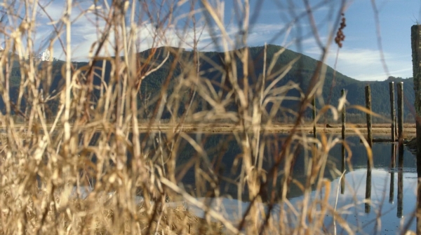 the100113_1277.jpg