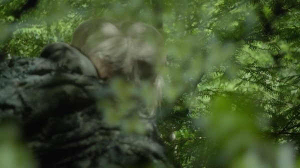 The 48 Season Two Episode One Captures-1305
