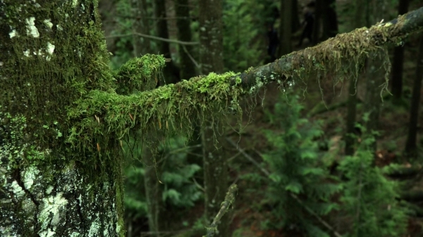 The 100 Season Two Episode Two Inclement Weather-1503
