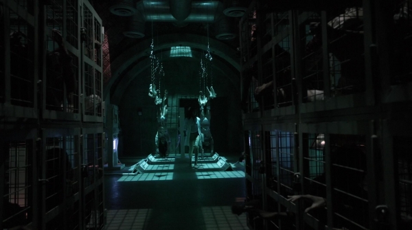 The 100 Reapercussions Season Two Episode Three-1994
