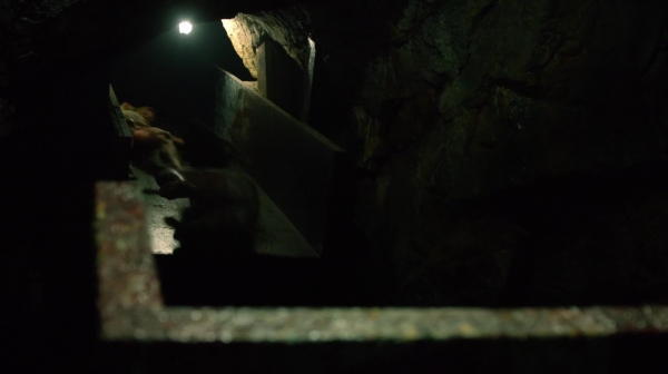 The 100 Reapercussions Season Two Episode Three-1908
