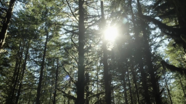 The 100 Reapercussions Season Two Episode Three-1697
