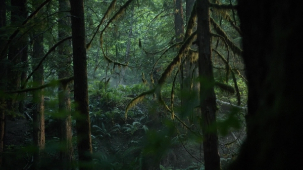 The 100 Reapercussions Season Two Episode Three-1639
