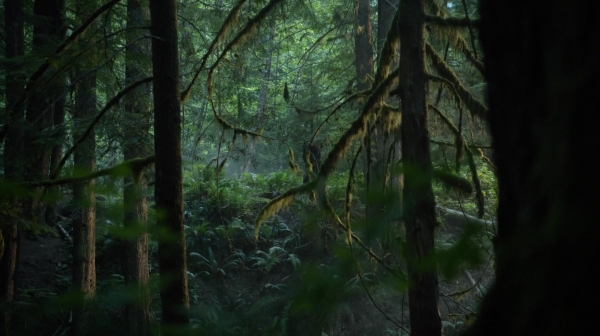 The 100 Reapercussions Season Two Episode Three-1638
