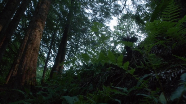 The 100 Reapercussions Season Two Episode Three-1637
