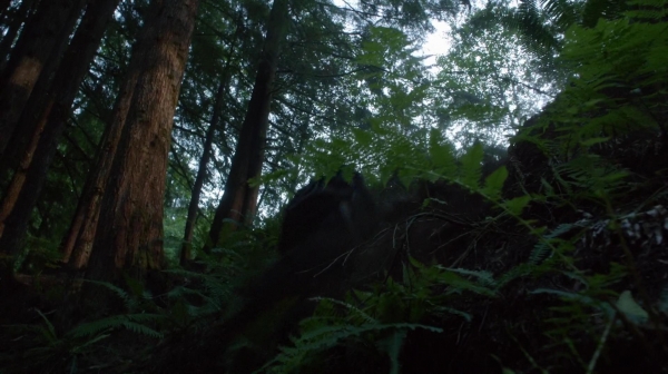 The 100 Reapercussions Season Two Episode Three-1636
