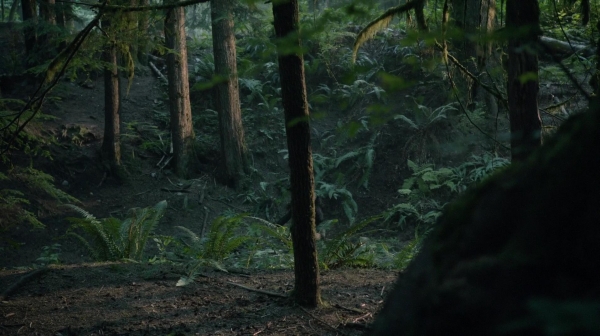 The 100 Reapercussions Season Two Episode Three-1634
