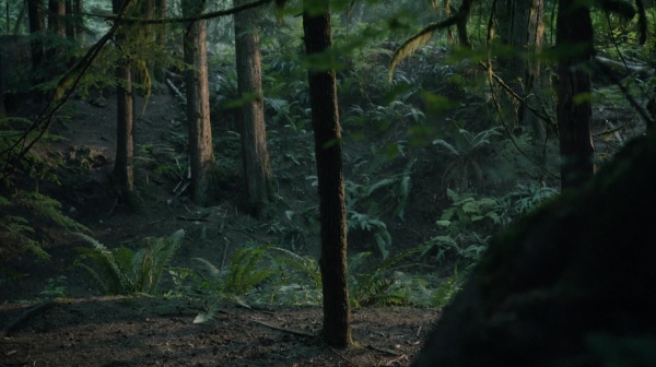 The 100 Reapercussions Season Two Episode Three-1633

