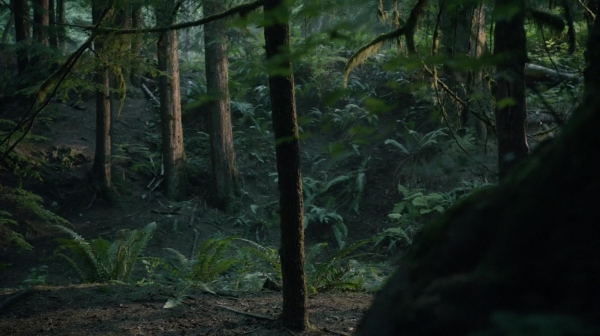 The 100 Reapercussions Season Two Episode Three-1632
