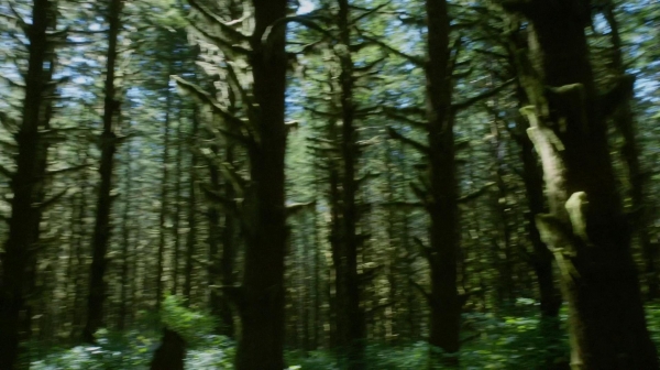 The 100 Reapercussions Season Two Episode Three-1349
