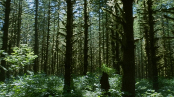 The 100 Reapercussions Season Two Episode Three-1348
