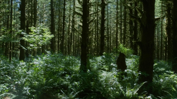 The 100 Reapercussions Season Two Episode Three-1347
