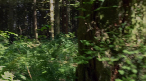 The 100 Reapercussions Season Two Episode Three-1344
