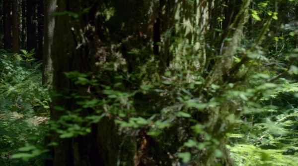 The 100 Reapercussions Season Two Episode Three-1335
